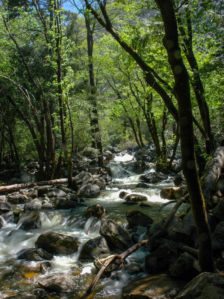 Bridalveil Creek